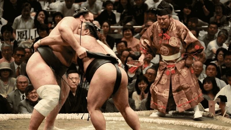tro-choi-dan-gian-the-gioi-sumo